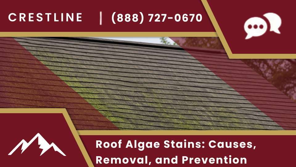 Roof algae stains and ugly black roof streaks form on shingles; remove roof algae growth and prevent roof algae stains near you.